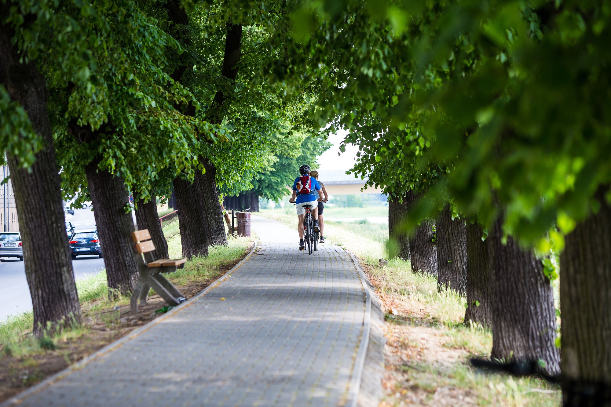 Radfahren entlang der Oderpromenade in Słubice , Foto: Artur Kozlowski 